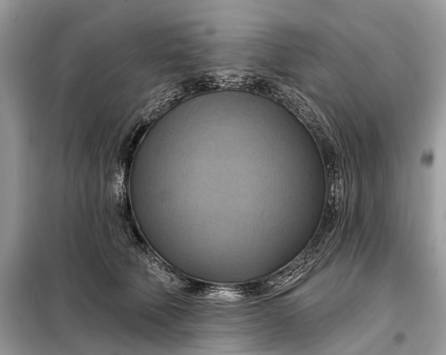 X0000098210610200805081136