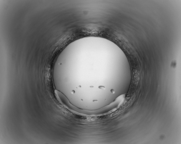 X0000098210612200805081136