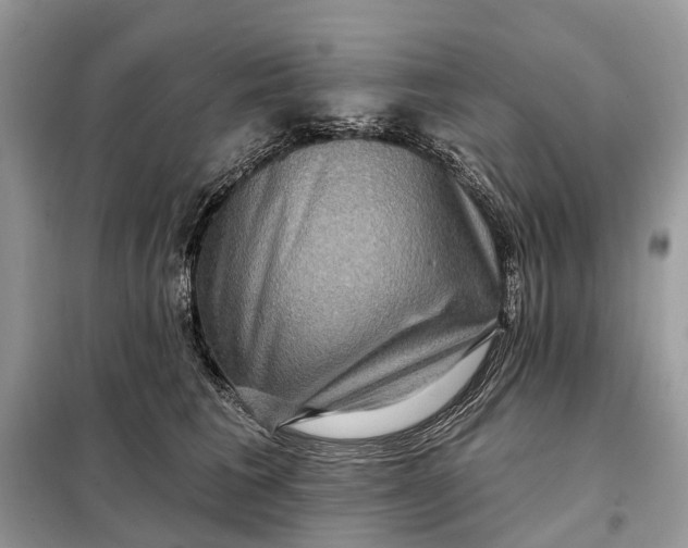 X0000098210613200805081136