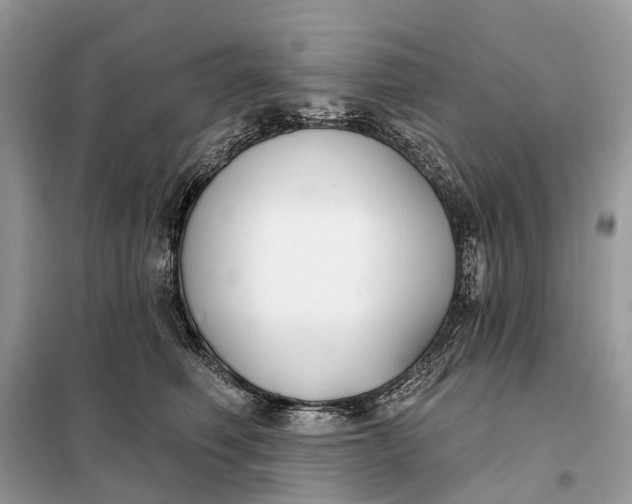 X0000098210614200805081136
