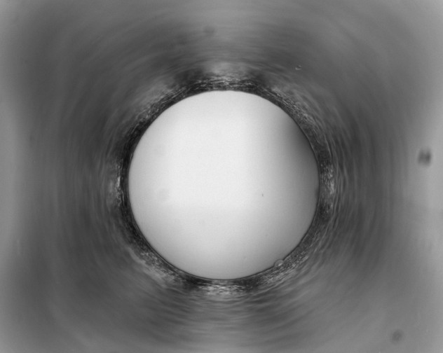 X0000098210615200805081136