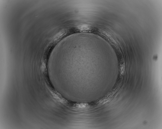 X0000098210618200805081136