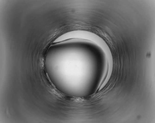 X0000098210621200805081136