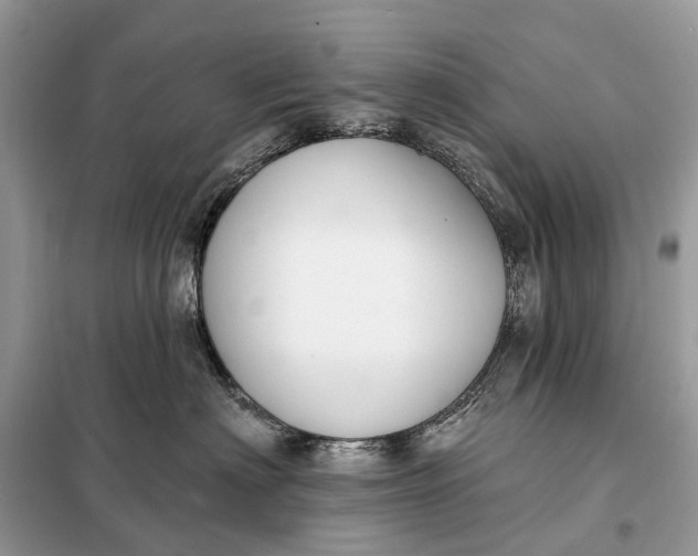 X0000098210622200805081136