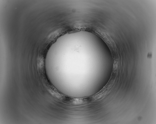 X0000098210623200805081136