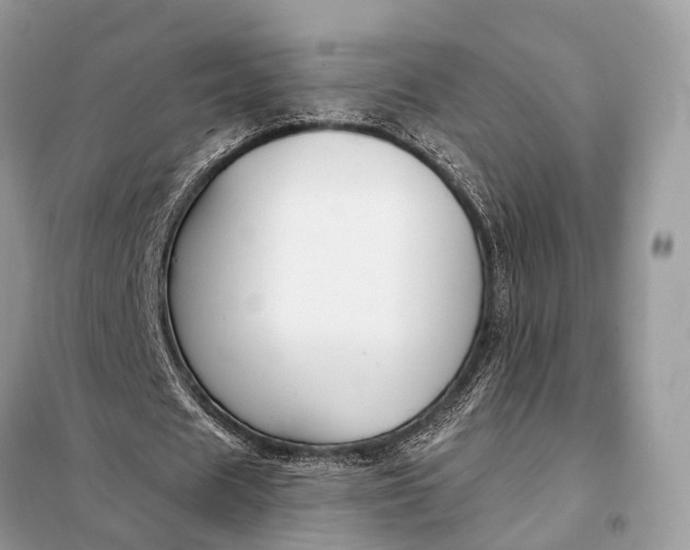X0000098210625200805081135