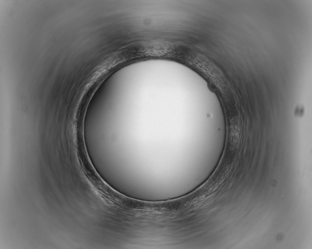 X0000098210626200805081135