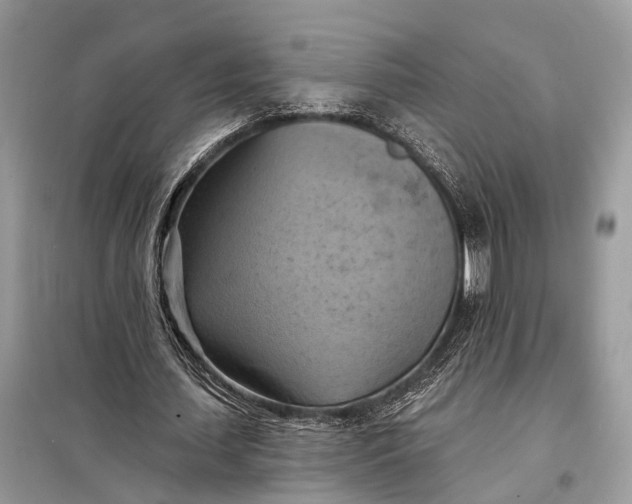 X0000098210627200805081135