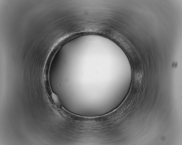 X0000098210628200805081135