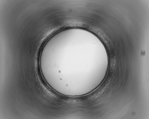 X0000098210629200805081135