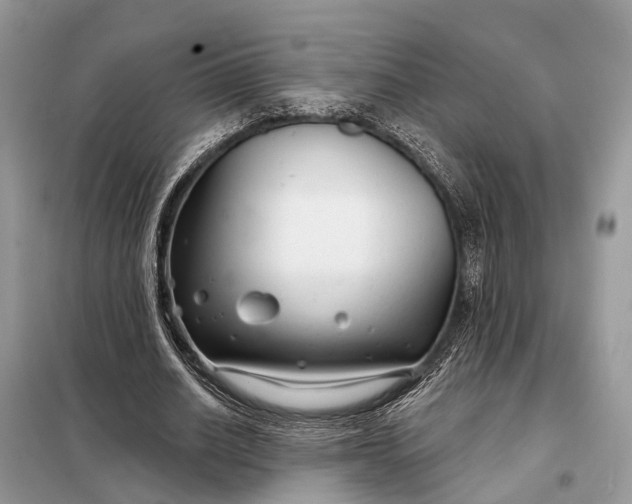 X0000098210630200805081135