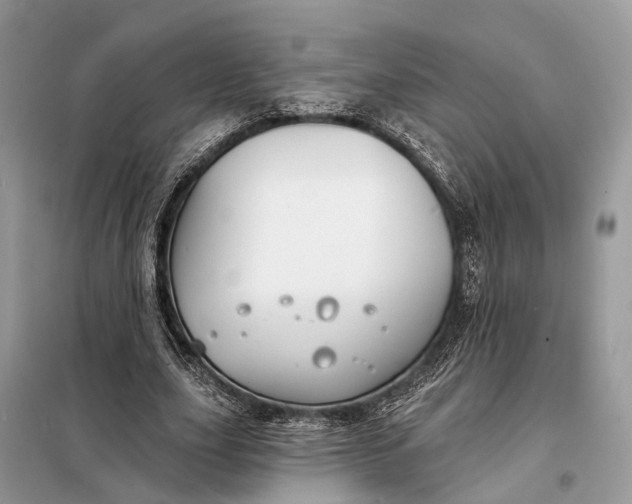 X0000098210631200805081135