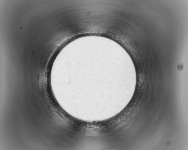 X0000098210632200805081135