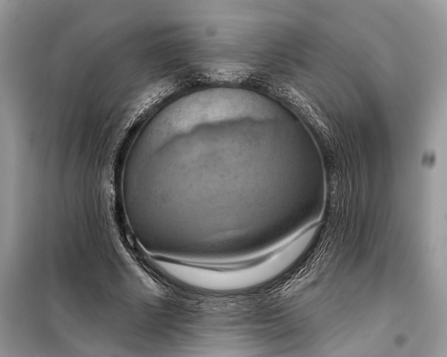 X0000098210634200805081135