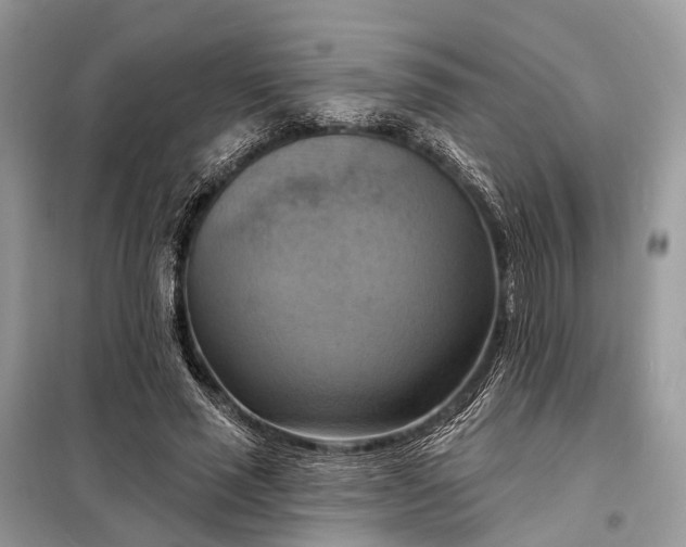 X0000098210637200805081135