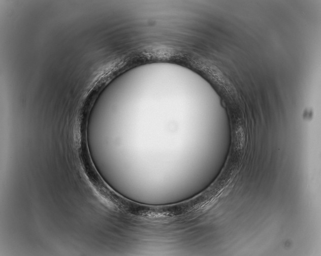 X0000098210638200805081135