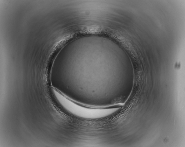 X0000098210640200805081135