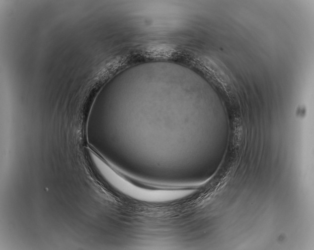 X0000098210641200805081135