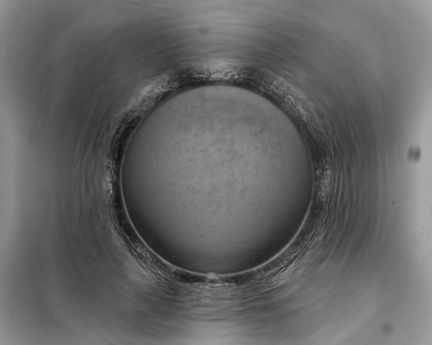 X0000098210643200805081136