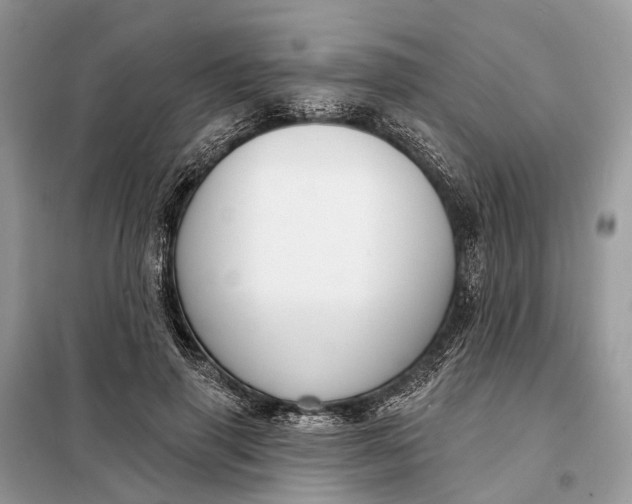 X0000098210645200805081136
