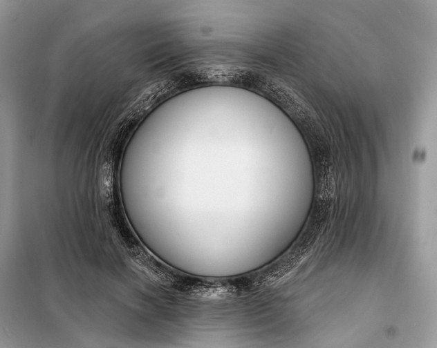 X0000098210646200805081136