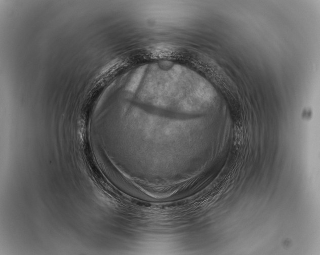 X0000098210648200805081136
