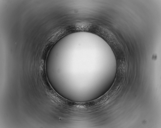 X0000098210649200805081136