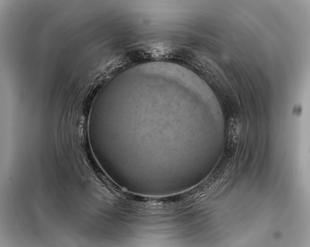 X0000098210650200805081136