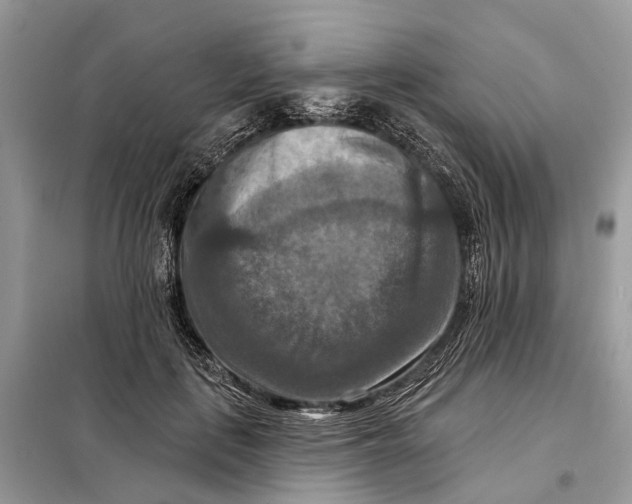 X0000098210651200805081136