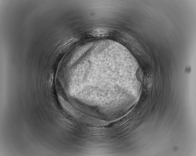 X0000098210652200805081136