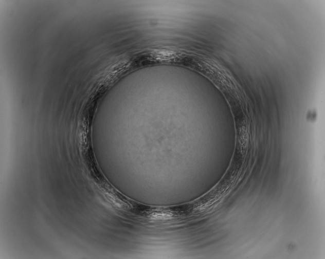 X0000098210653200805081136
