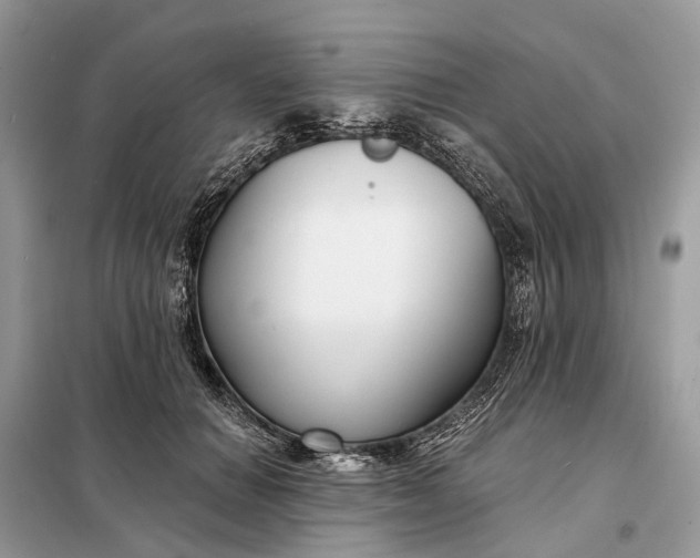 X0000098210654200805081136