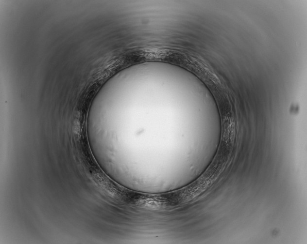 X0000098210655200805081136
