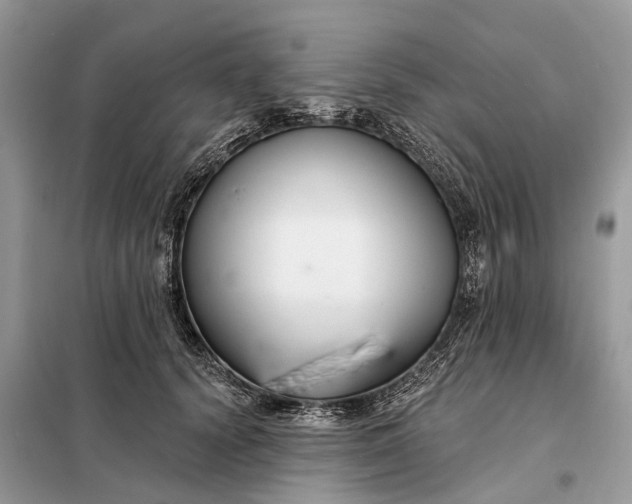X0000098210656200805081136