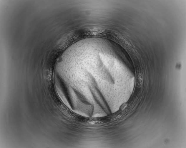 X0000098210657200805081136