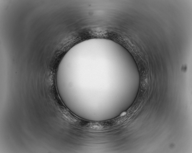 X0000098210658200805081136