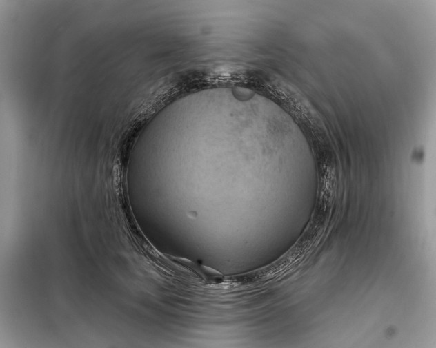 X0000098210659200805081136