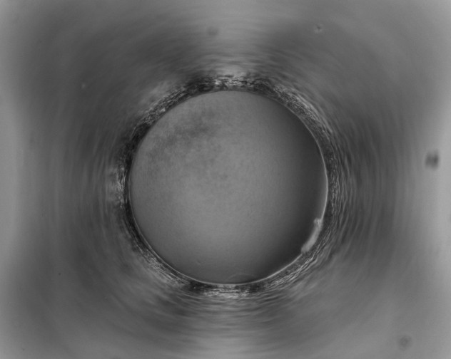 X0000098210661200805081136