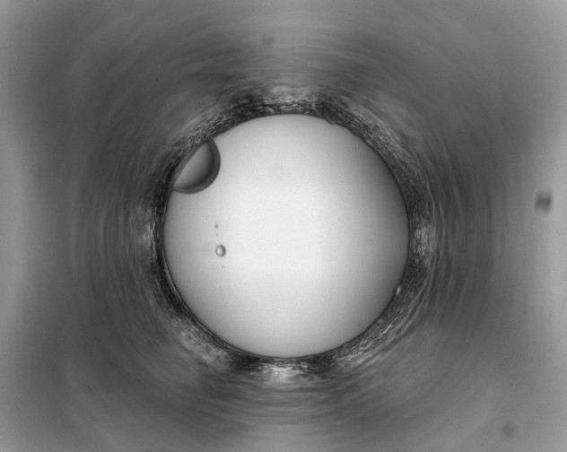 X0000098210662200805081136