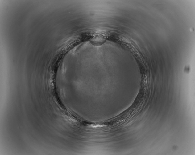 X0000098210663200805081136