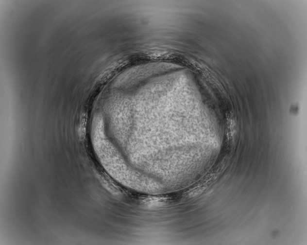 X0000098210664200805081136