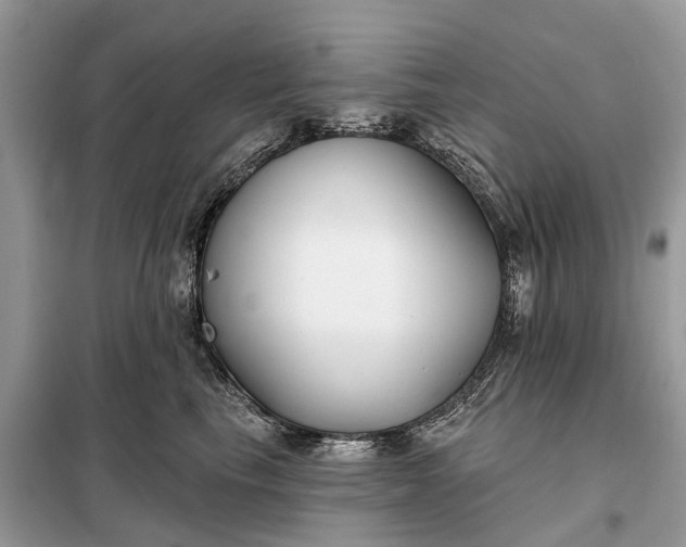 X0000098210665200805081136