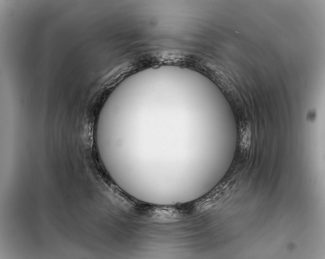 X0000098210666200805081136
