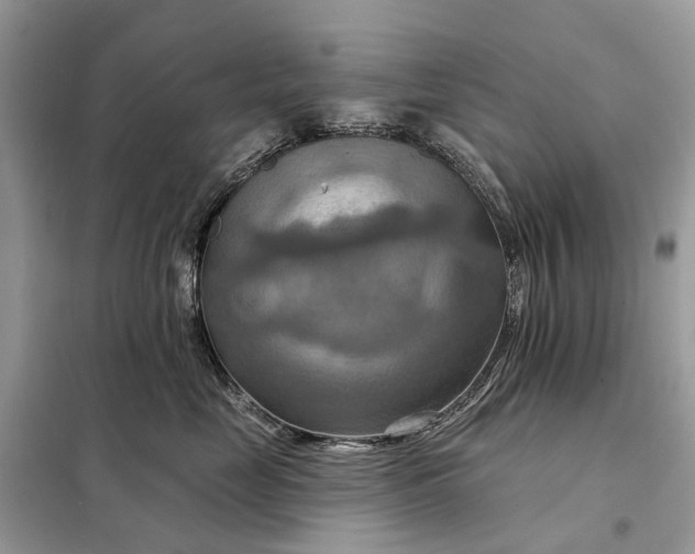 X0000098210669200805081136