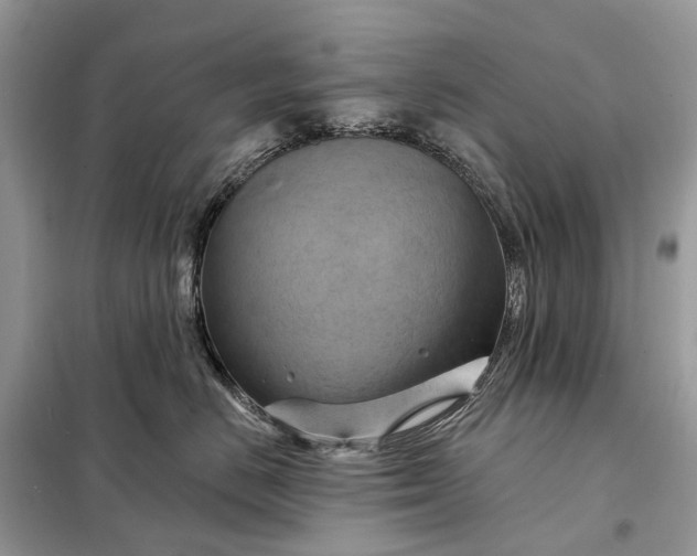X0000098210670200805081136