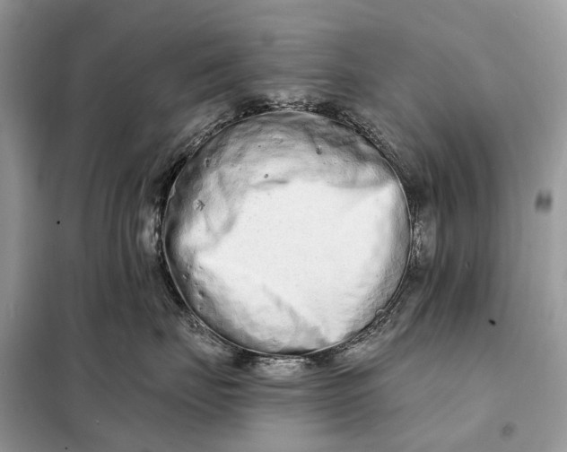X0000098210671200805081136