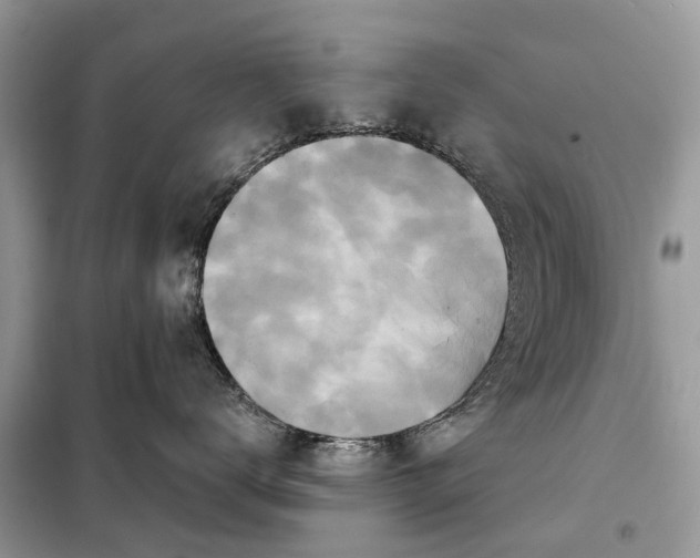 X0000098210672200805081136