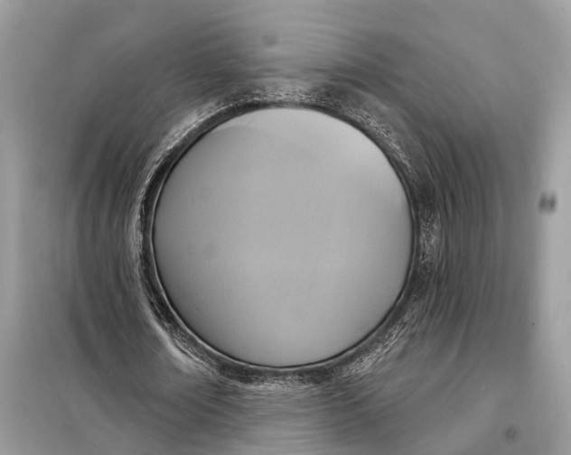 X0000098210674200805081135