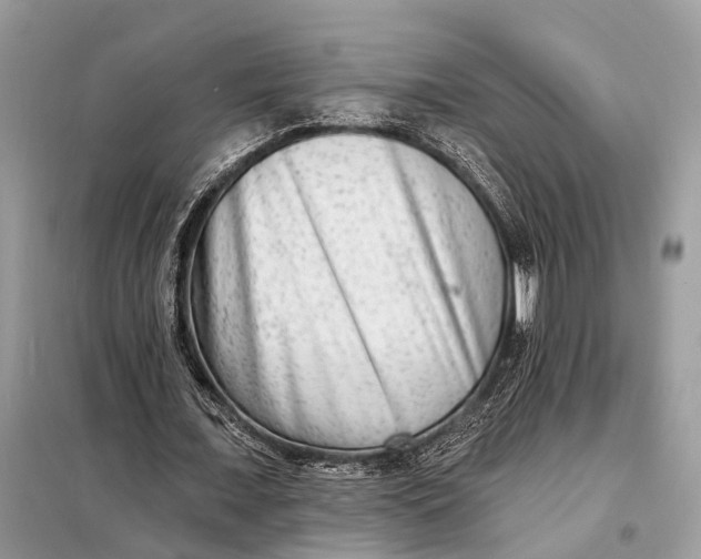 X0000098210675200805081135