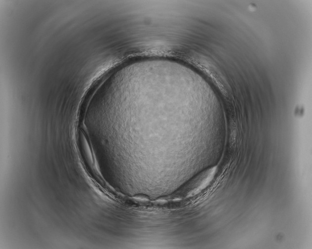 X0000098210677200805081135